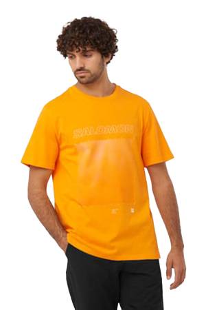 Graphic Ss Erkek T-Shirt - LC2247000 Turuncu - Thumbnail