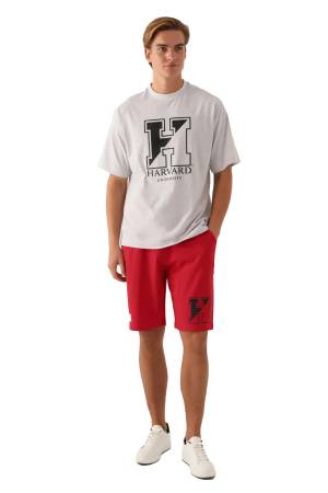 Harvard Universty Erkek T-Shirt - L1723-XS Gri - Thumbnail