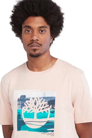 Ss Coast Inspired Logo Graphic Tee Regul Erkek T-Shirt- TB0A65WH Pudra Pembe - Thumbnail